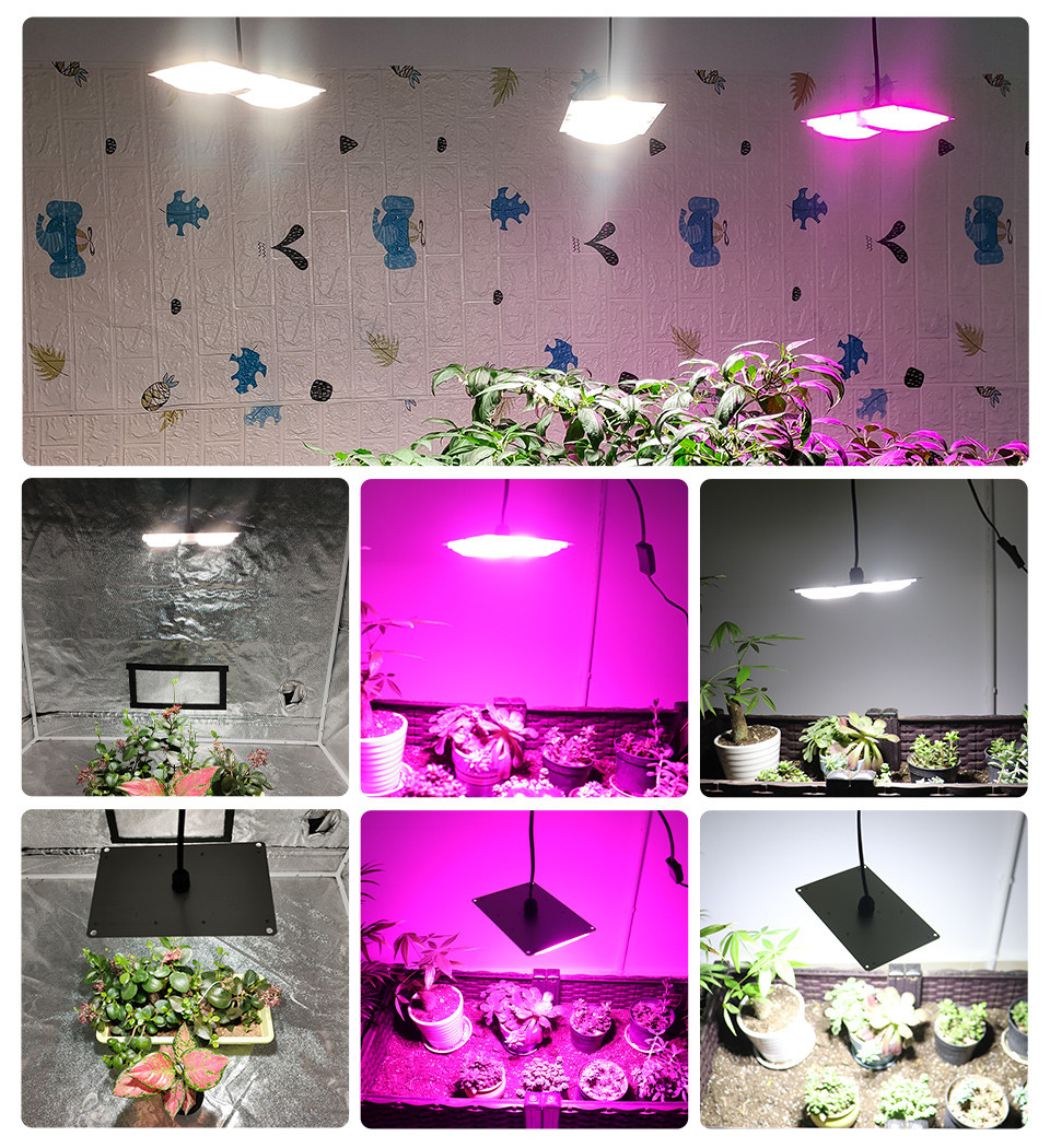 AC 120V Full Spectrum Grow Lights Switch Control For Greenhouse Horticultural Plants