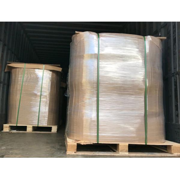 6000PSI High Pressure Washing Machine Hose Rawhide Surface