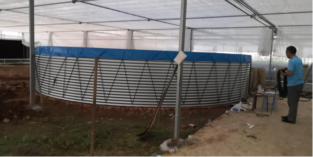 Industrial Indoor Recirculating Aquaculture System 7kg/M³ Shrimp Density 30% Faster Growth