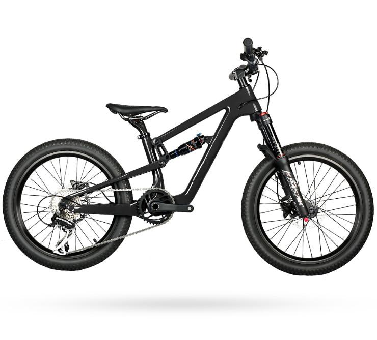 Full Suspension Carbon EPS Technology MTB Mountain Childrens Bikes 20er