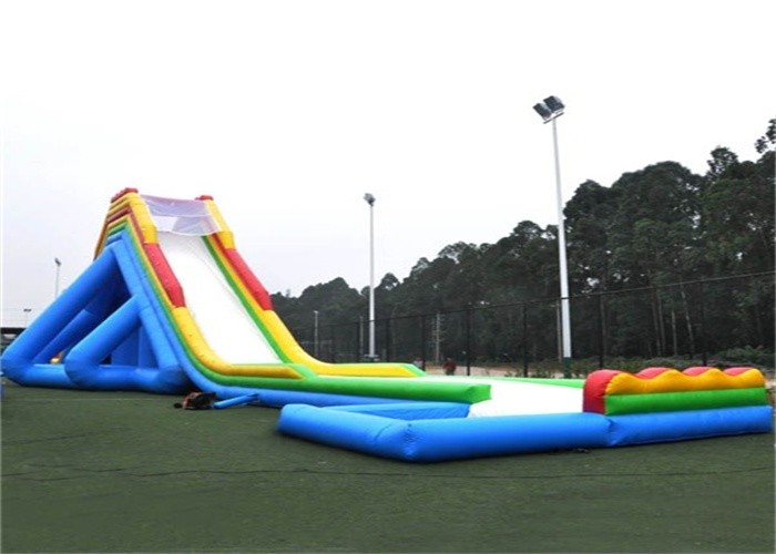 Outdoor Giant Hippo Inflatable Water Slides And Pool For Adults