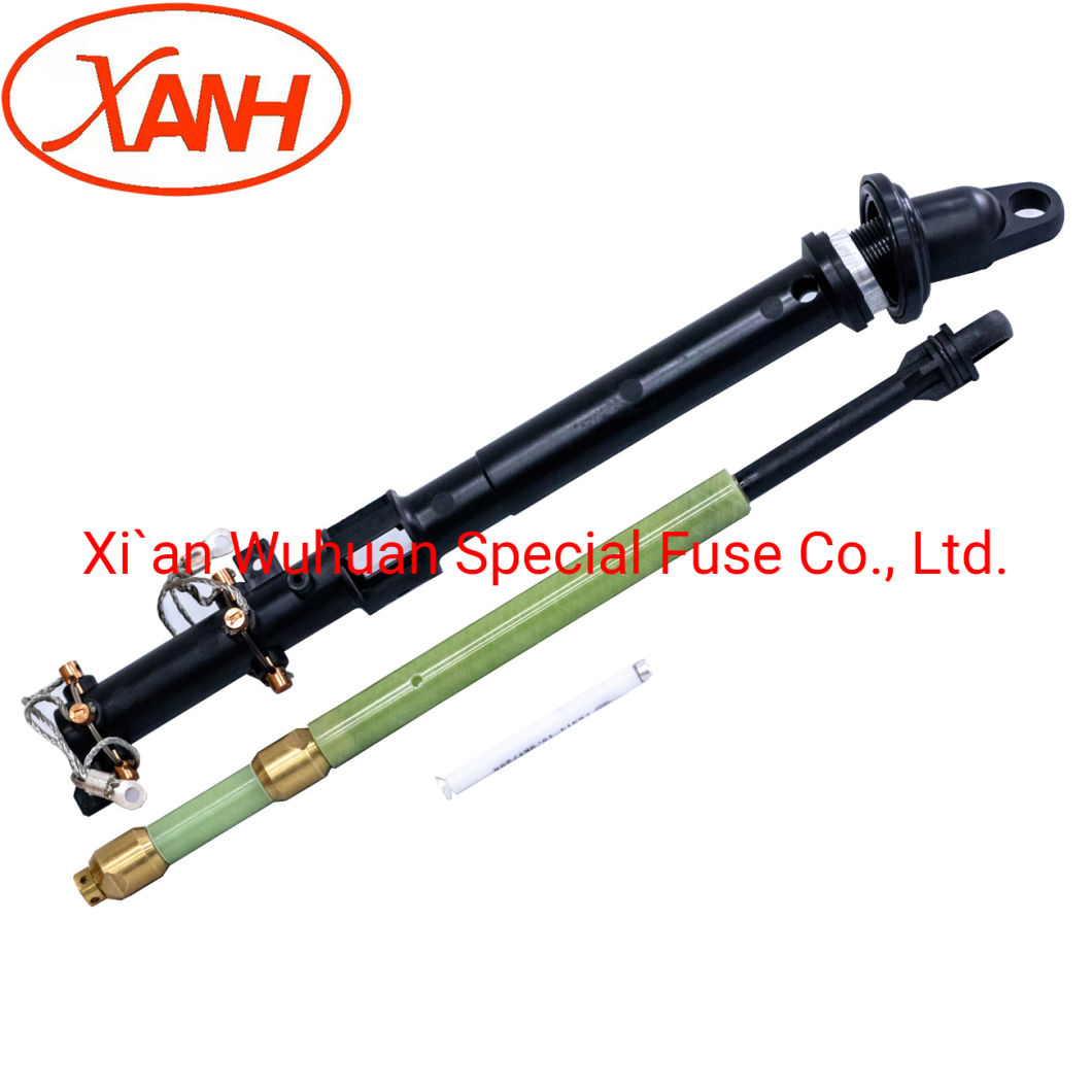 Oil-Immersed Type Transformer Protection High Voltage Limit Current Fuse Backup Fuse Bay-O-Net Fuse Elsp Fuse Cbuc38080d100