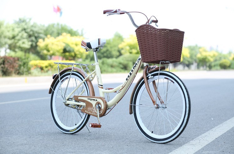 Steel Single Speed Adult 24 Inch City Bike