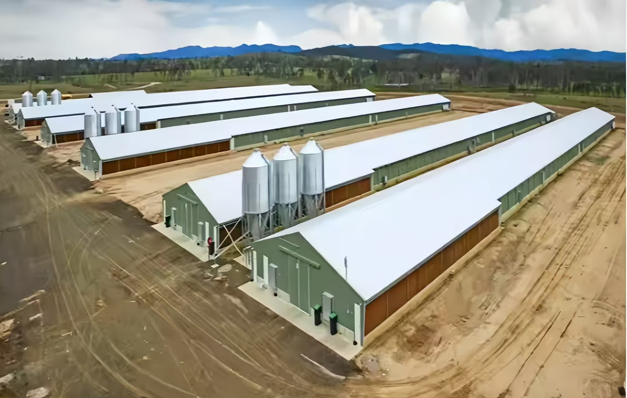 Automatic Poultry Broiler House Steel Structure Chicken Poultry Farm Equipment