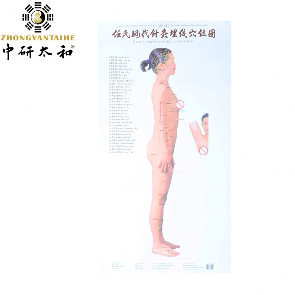 Body Meridian Acupuncture Culture Modern Acupuncture And Embedding Point