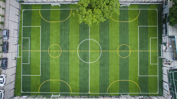 Long-Lasting Artificial Turf With Dtex 8000-15000 And 50mm Pile Height