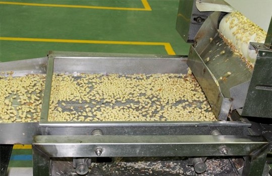 Blanched Processing Roasted Seeds And Nuts Fried Peanut Kernel For Food