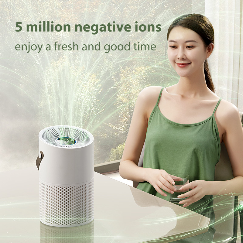 Carbon Filter Vehicle Air Cleaner 100 M3/h With 20ml/H Humidification