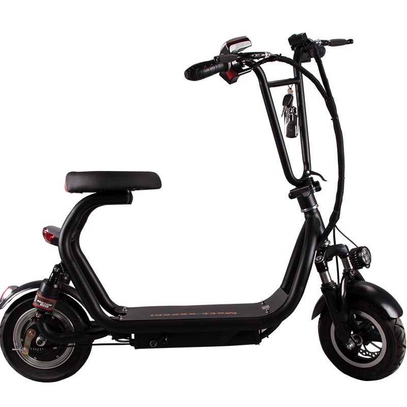 Citycoco Urban Electric Scooter 48V 8AH Lithium Battery 350W Pocket Electric Scooter