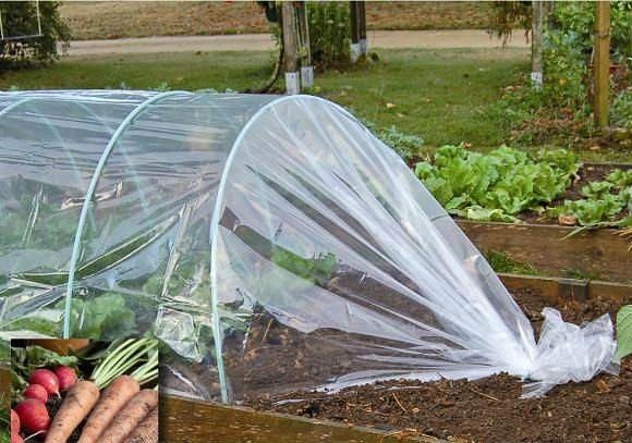 Pe Mulch Film With Holes For Agriculture Perforated Red Plastic Mulch For Peppers Crop Cover For Tomatoes