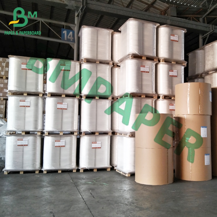 Cone cups paper