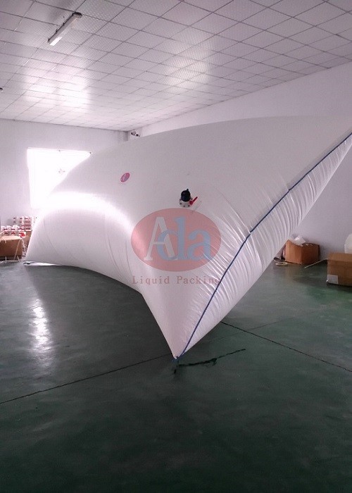 Bottom Loading and Bottom Discharging Flexitank Flexibag for Bulk Liquid Transportation