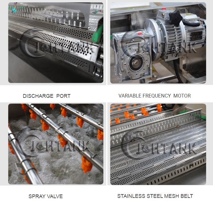 Food Grade SUS304 Leafy Fruit Vegetable Washing Machine Industrial