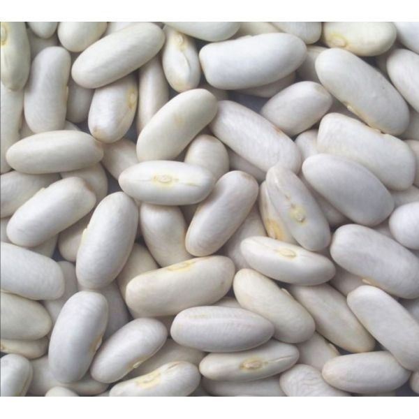 High-precision AI Color Sorter For White Kidney Beans, Featuring Multispectral Vision And 4D Recognition To Remove Defects And Foreign Materials For