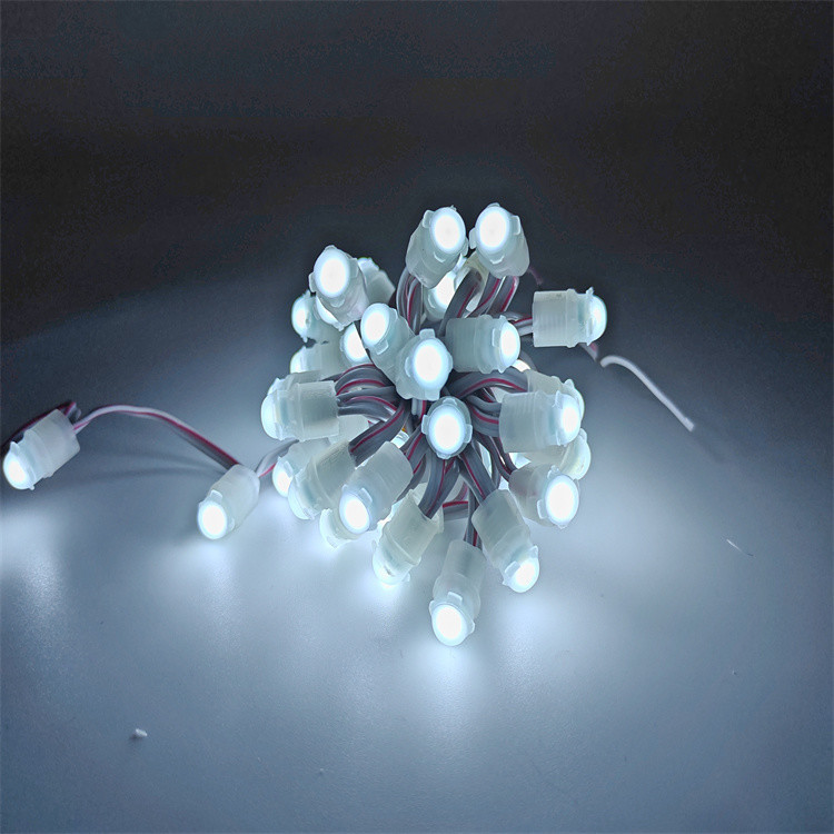 Good quality 9mm SMD2025 Single color Digital LED Pixel Light christmas decorations IP67 waterproof Exposed light