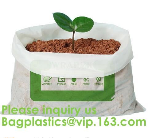 100% Compostable k Freezer Bags Resealable Sandwich Bag, 20 Count,k Freezer Bag for School, ASTM D6400 pack