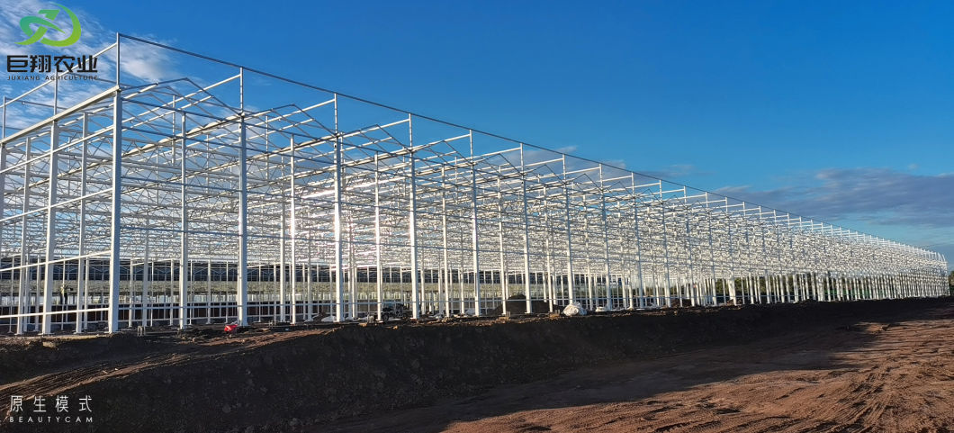 Agricultural Multi-Span Plastic Tunnel Film Greenhouse