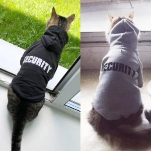 China Eco Friendly Cute Cat Hoodie , Warm Pet Costumes For Small Dogs on sale