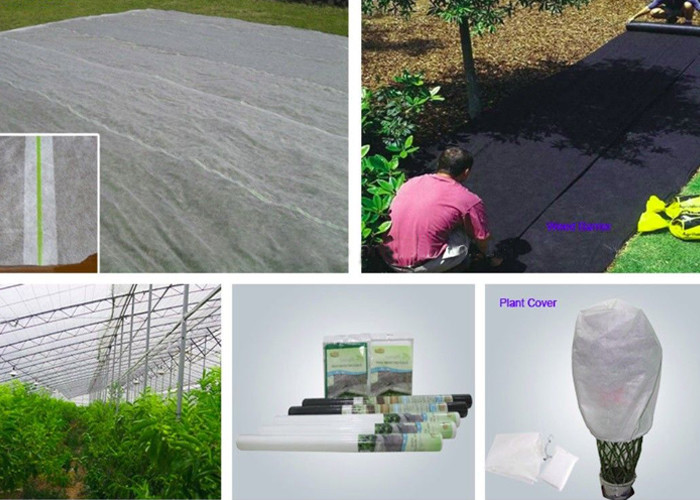 Hobby Gardening Agriculture Non Woven Fabric 320cm Width Anti Mildew
