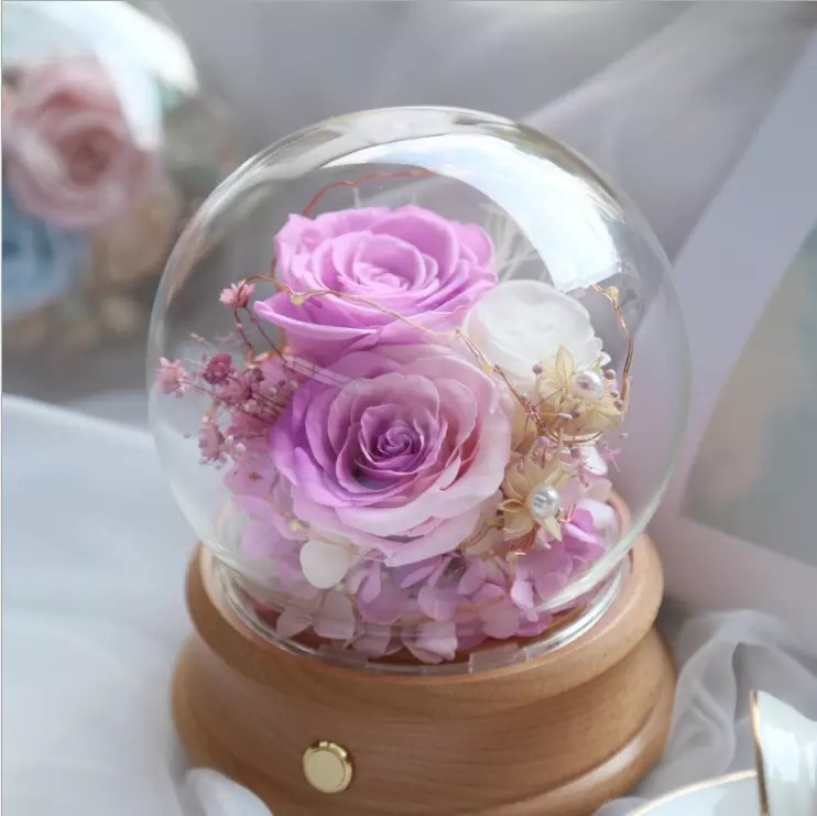 Preserved rose in glass terrariums with base for luxury gifts