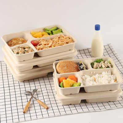 BPI BRC NSF 24*18*4cm Bagasse Lunch Box Microwavable Refrigerable