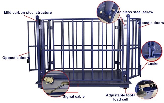 500kg Livestock Scales For Cattle