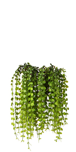 artificial greenery