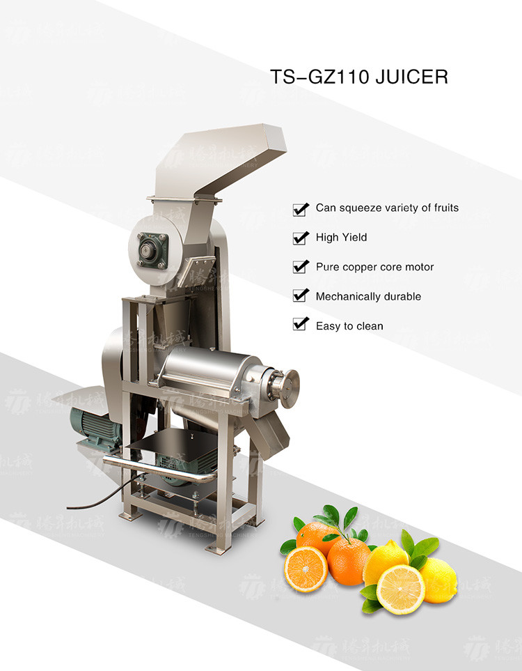 Wholesale Fruit Juicer Commercial Large Juicer Stainless Steel Vegetable Juicer