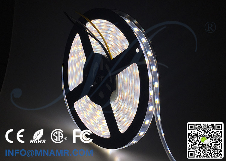 15watts IP67 Outdoor LED Strip Light Low Voltage 12V 24VDC Warm White and Cold White Mix Colors