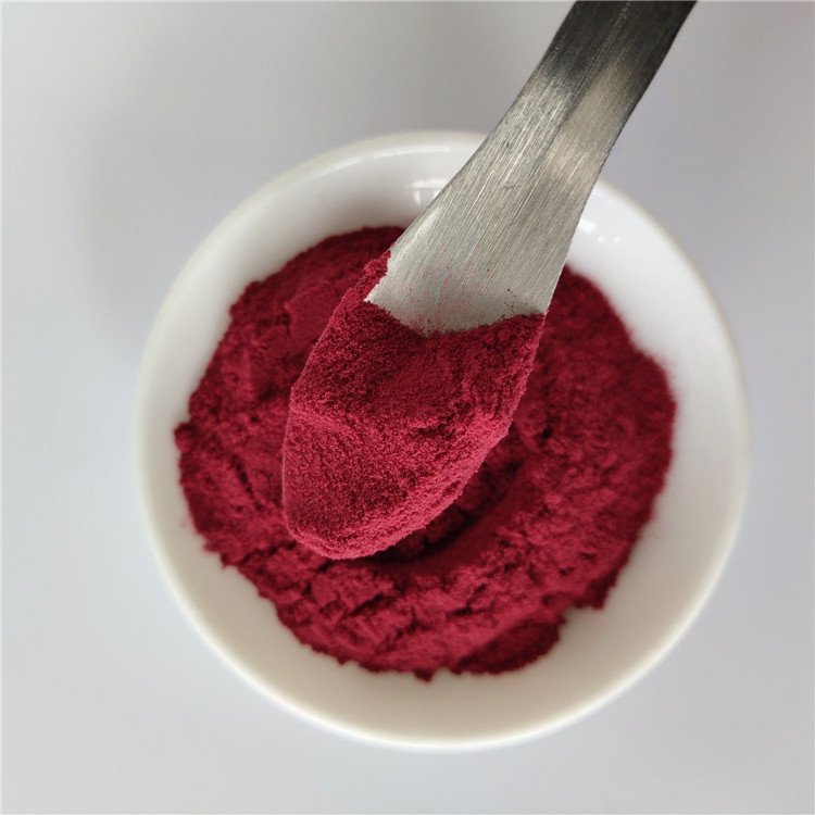 Wholesale Elderberry Powder For Instant Tea Powder