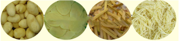 Multifunction Potato Peeling And Slicing Machine Automatic French Fries And Potato Chips Cutter