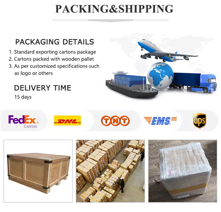 Competitive Metal Bushing Powder Metallurgy Stainless Steel Parts for Custom Iron Parts