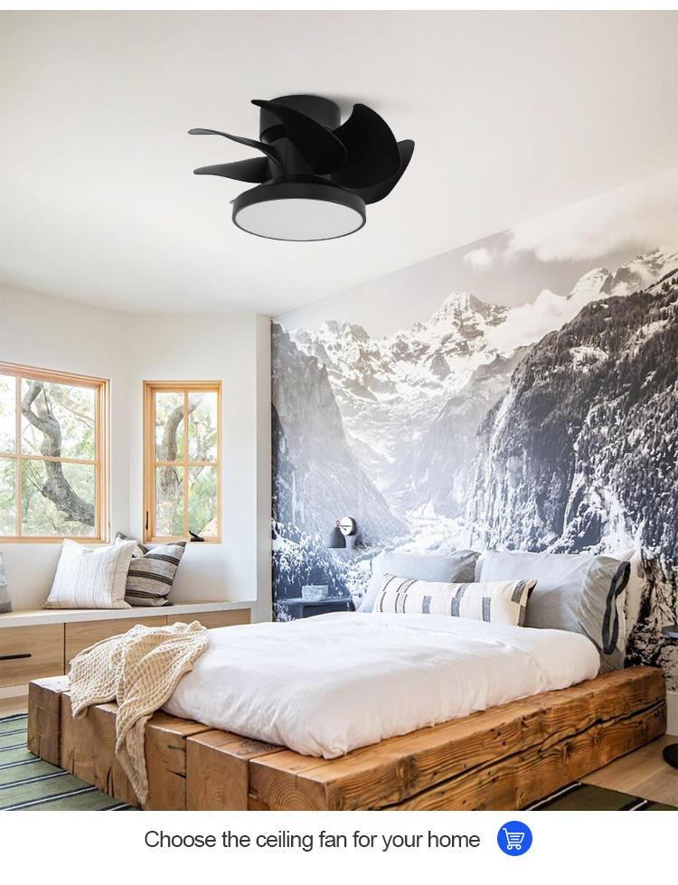 ceiling fan