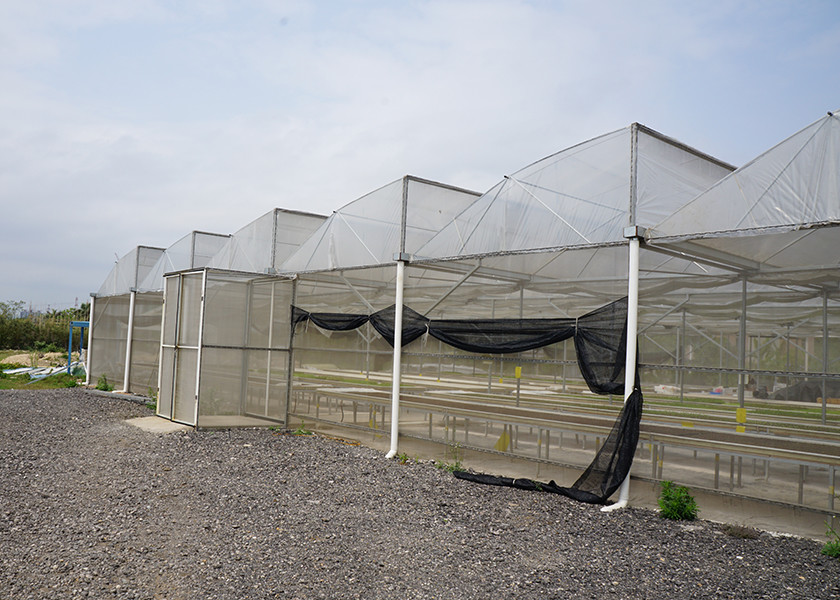 Rain Resistant Hydroponic Greenhouse Systems With Galvanized Support
