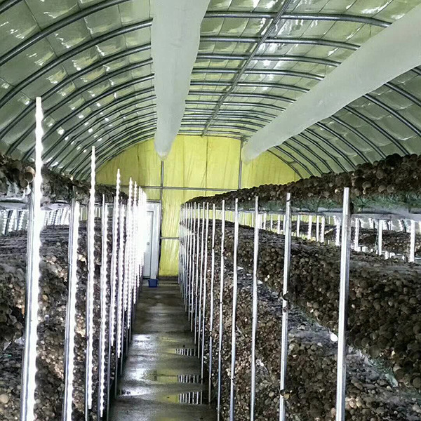 7-10 Meter Width Outdoor Mushroom Greenhouse With Insulating Blanket