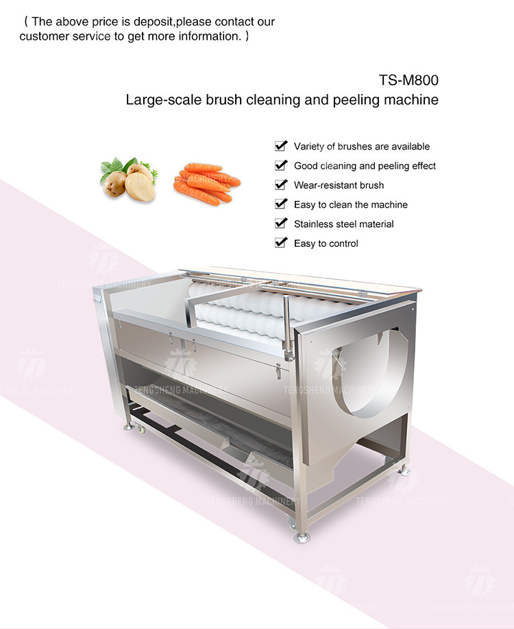 Tengsheng 3KW Potato Washing And Peeling Machine Potato Cleaning Isolation Filters