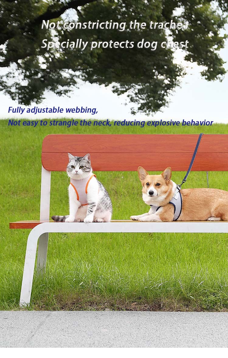 Pet Polyester Leash Breathable Mesh Harness For Dog Walking Small Dogs And Cats
