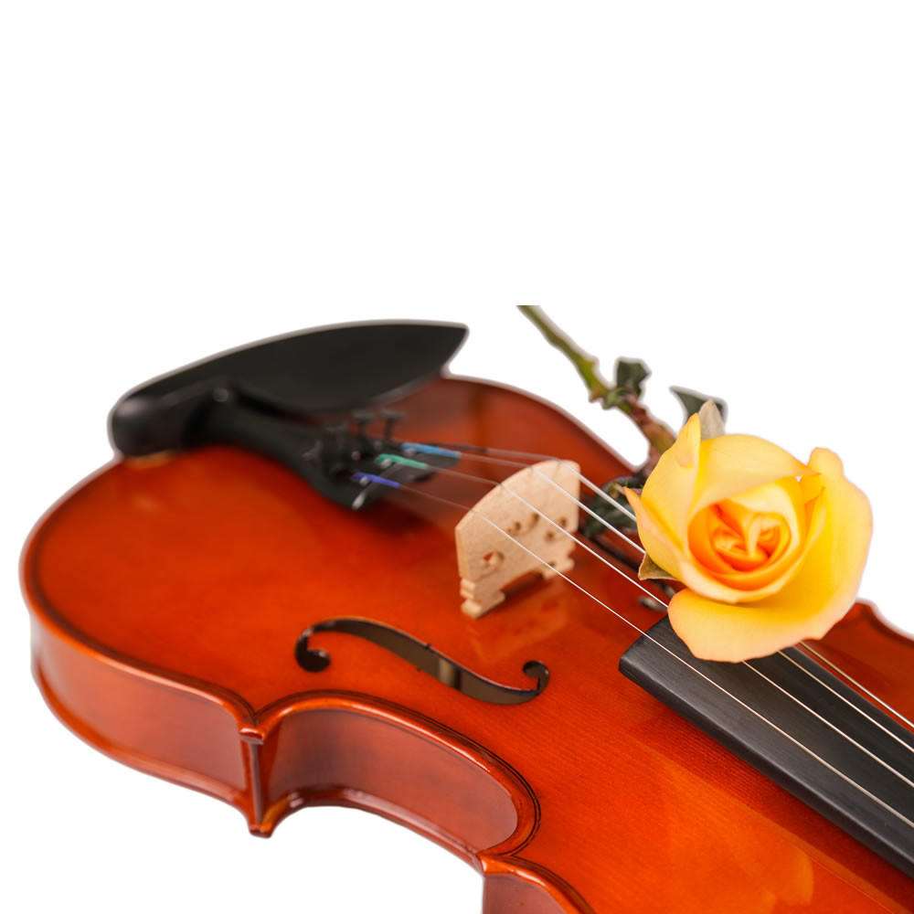 Professional golden yellow natural flame maple handmade violin VA-303 caterina middle grade Handmade violin