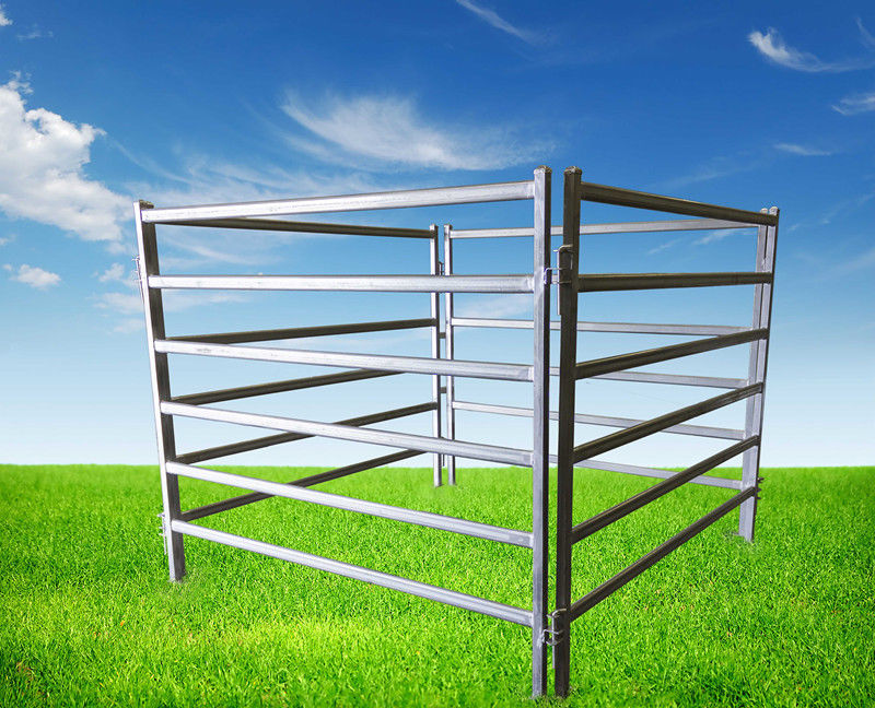 Welded Netting Manufacture Supplier 2x2 Galvanized Cattle Welded Wire Mesh Panel
