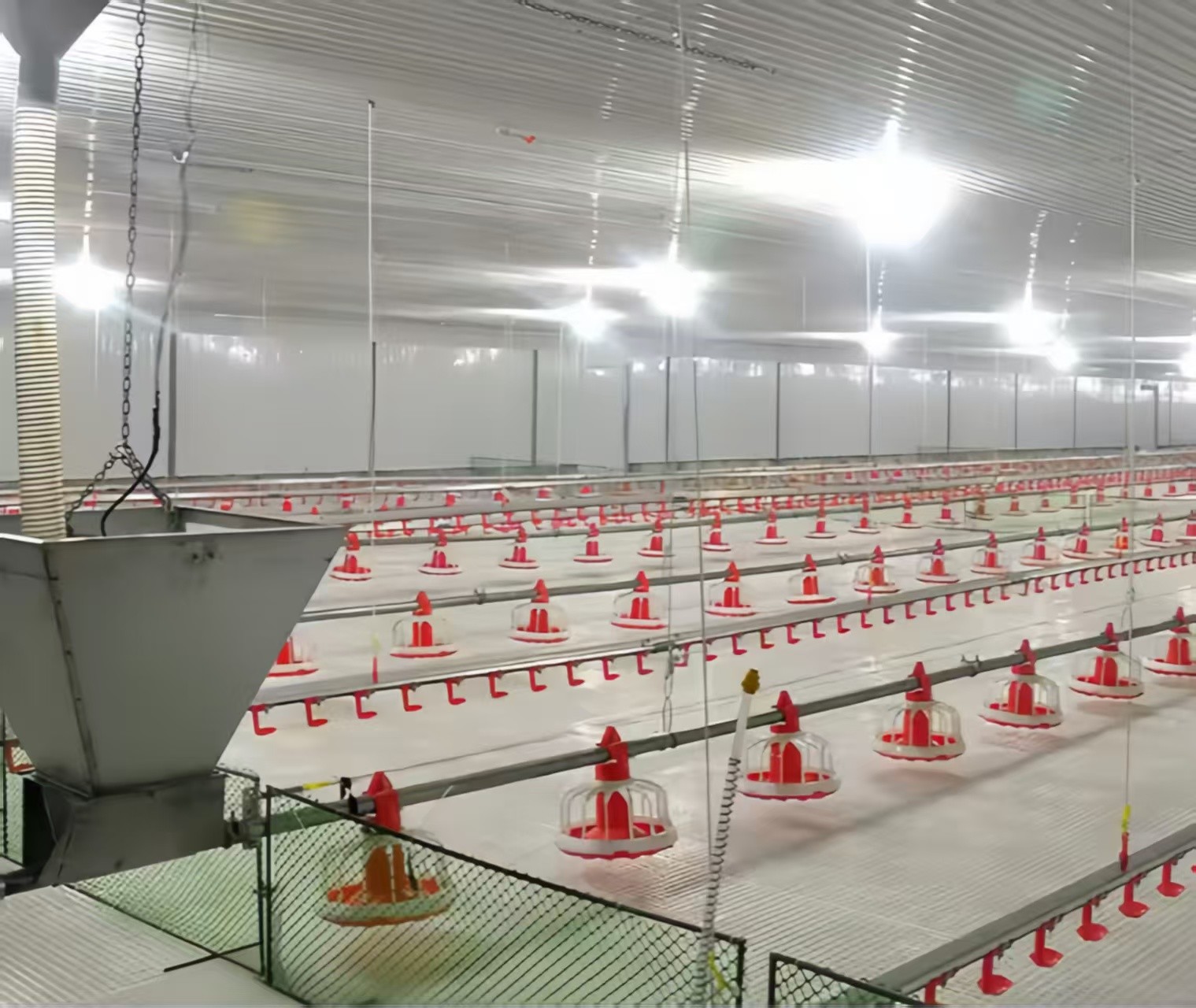 Easy Clean Plastic Slatted Floor Poultry House Customized Color