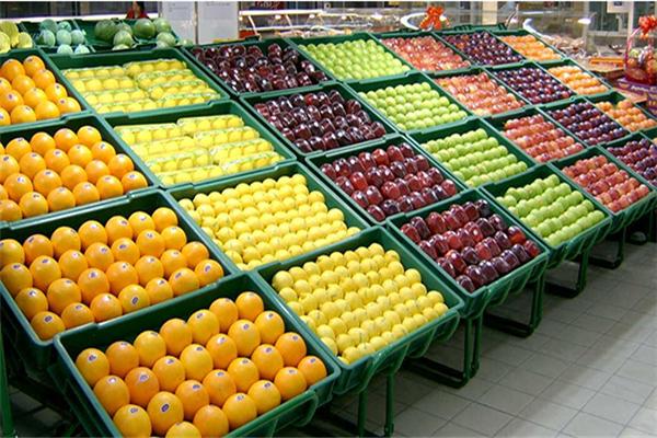 Foldable Mesh Crates For Vegetable Collapsible Plastic Shipping Crates 600x400x52mm