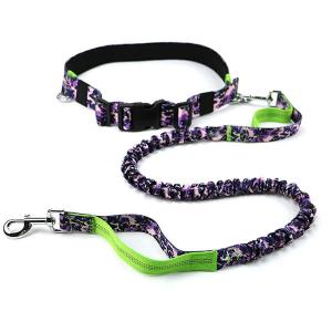 China Hands Free Dog Collars And Leashes / Unique Dog Leashes Customized Size on sale