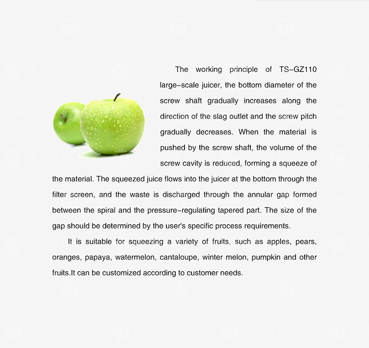 Wholesale Fruit Juicer Commercial Large Juicer Stainless Steel Vegetable Juicer