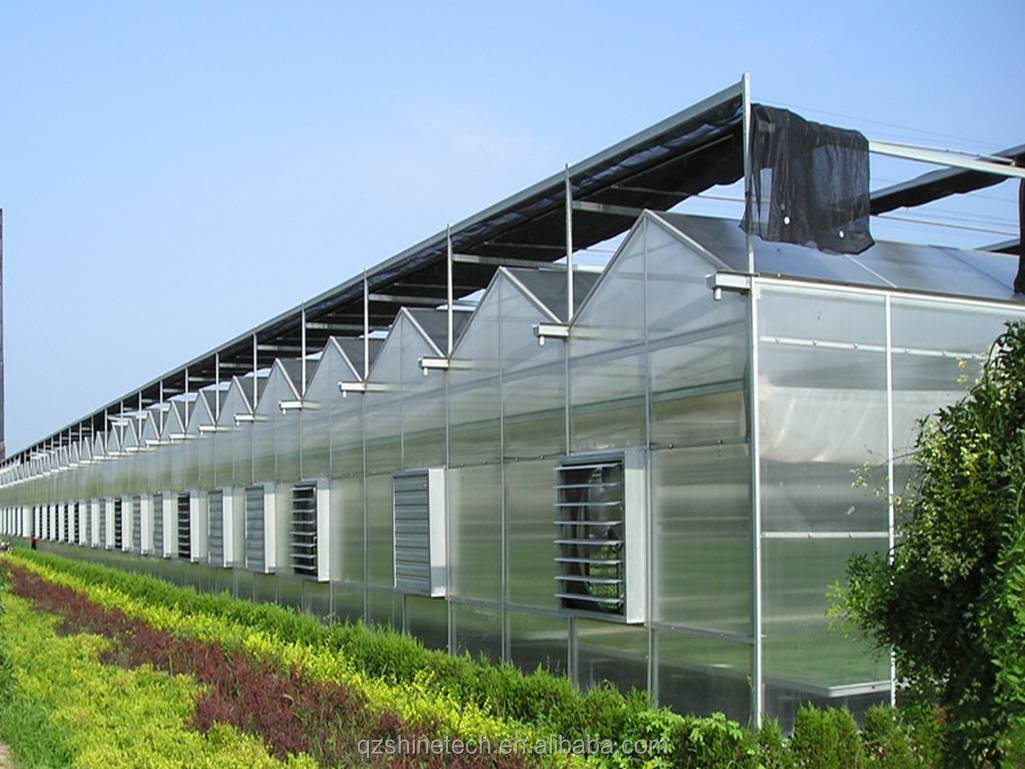 Sturdy And Large Greenhouse Agriculture Polycarbonate With Galvanized Steel Frame
