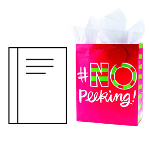 Gift Bag