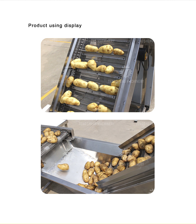 380V Belt Feeder Belt Hoist Food Conveyor Stainless Steel