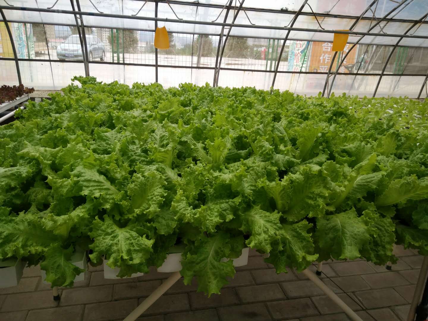 The Best Garden Vertical Hydroponics System NFT for Vegetable & Flower Growing