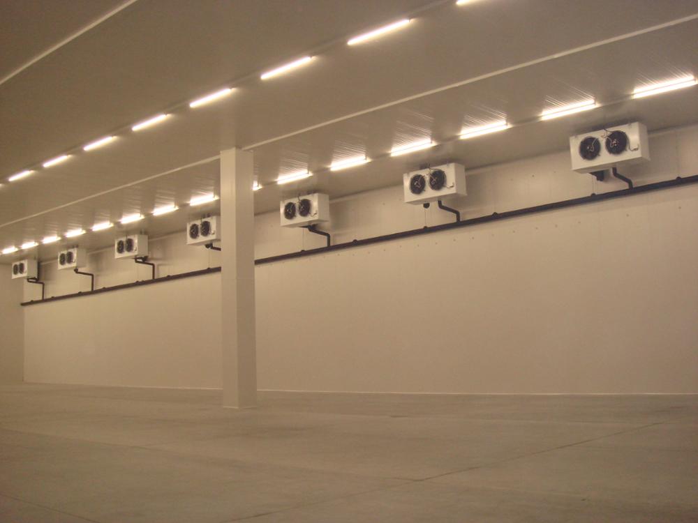 Durable Blast Modular Cold Room For Preserving Fish Beef Meat Chicken