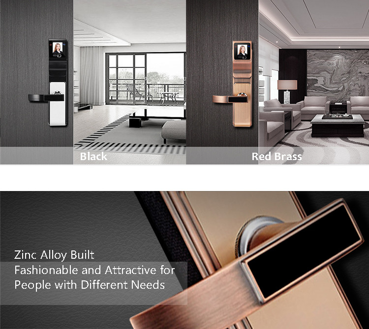 Biometric Smart Face Recognition Door Lock Infrared Non - Touch Info - Collect Way