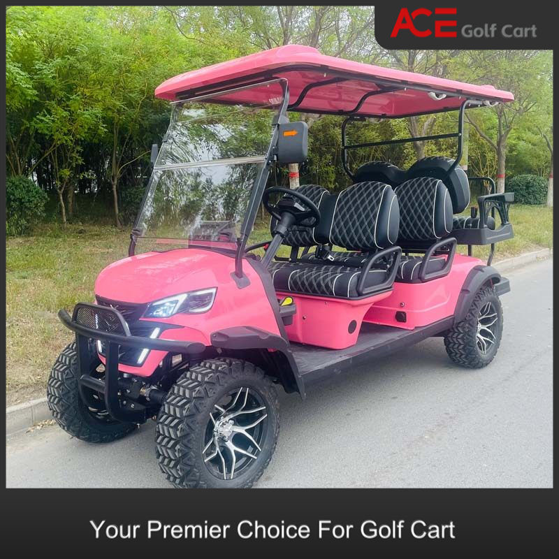 Advanced Ev Golf Cart Modern Custom Design New Style